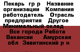 Пекарь– гр/р › Название организации ­ Компания-работодатель › Отрасль предприятия ­ Другое › Минимальный оклад ­ 1 - Все города Работа » Вакансии   . Амурская обл.,Завитинский р-н